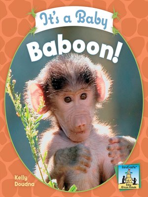 cover image of It's a Baby Baboon!
